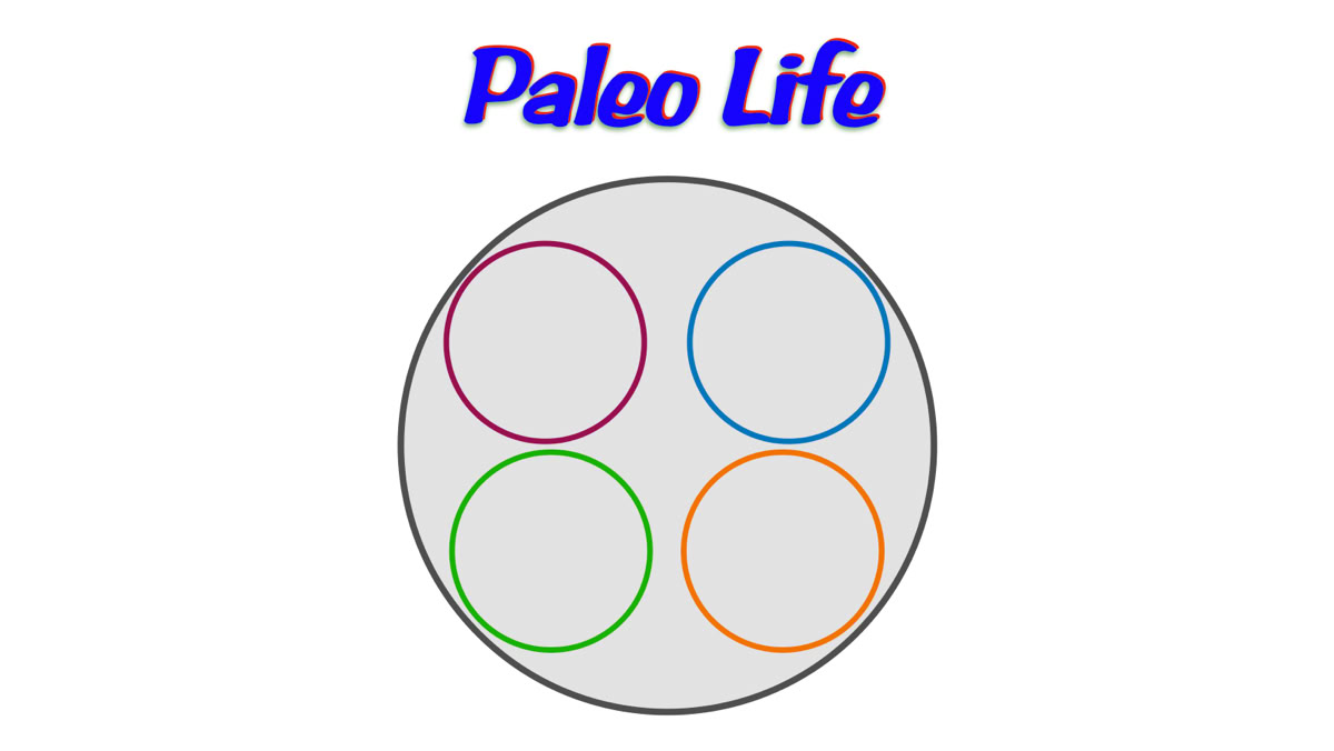 An Image of Paleo Life Logo