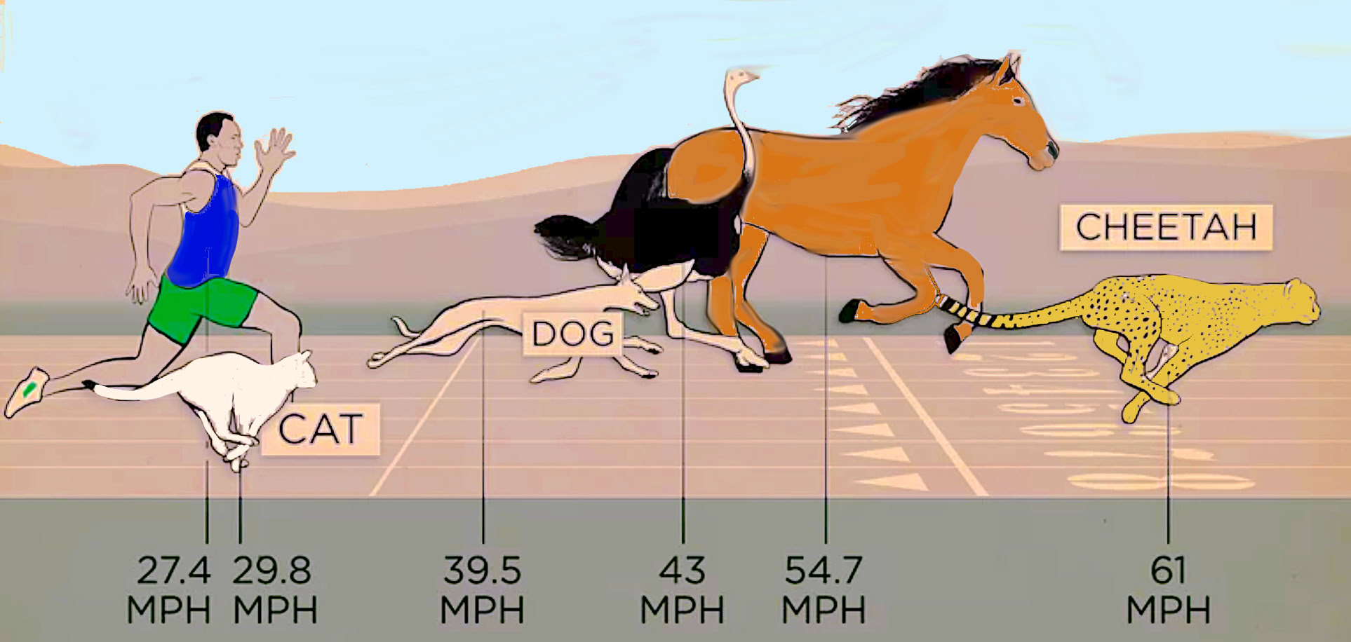 An Image comparing humans to animals