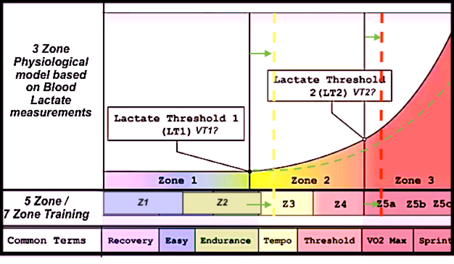 A chart showing the three physiological training zones