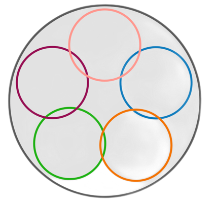metasomatics logo: five colored circles within one black circle